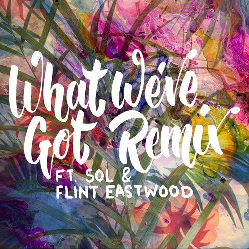 Manatee Commune - What We've Got Remix ft. Sol & Flint Eastwood